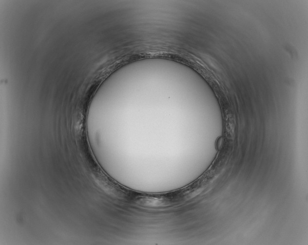 X0000111830507200907231025
