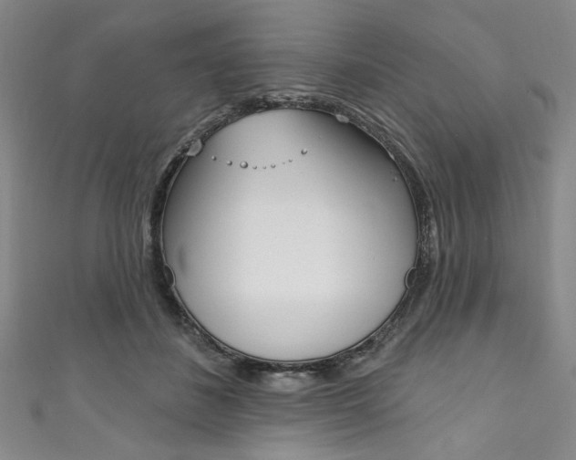 X0000111830508200907231025