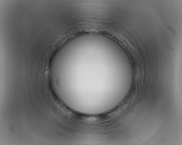 X0000111830513200907231025
