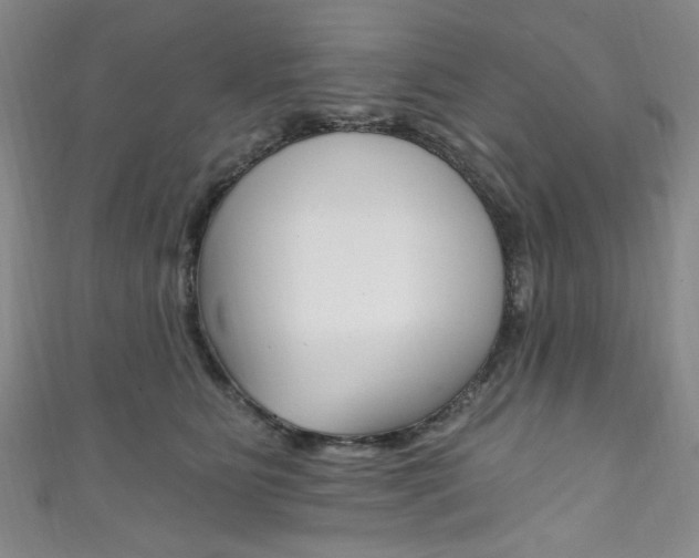 X0000111830515200907231025