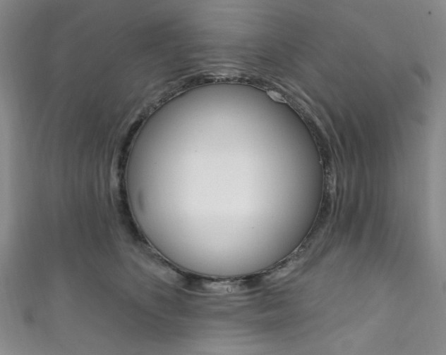X0000111830516200907231025