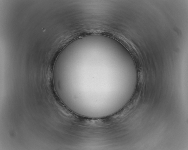 X0000111830517200907231025