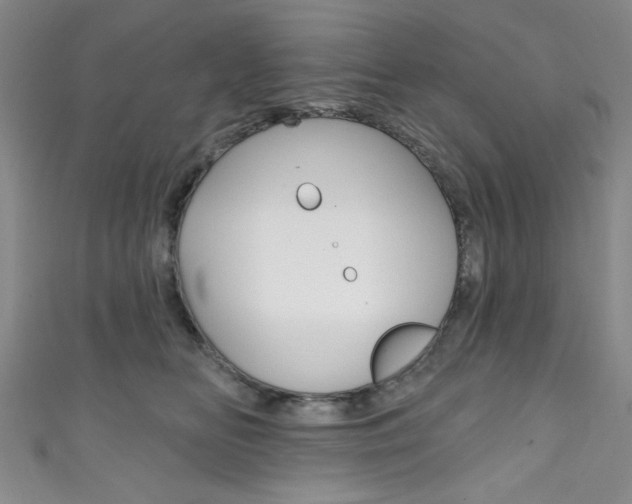 X0000111830518200907231025