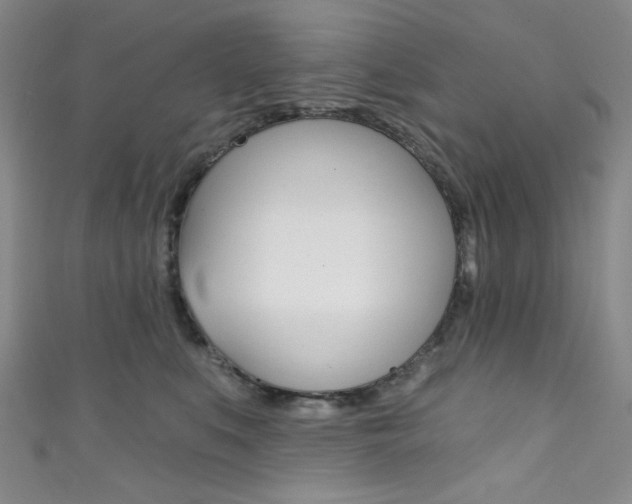 X0000111830519200907231025