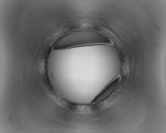 X0000111830520200907231025