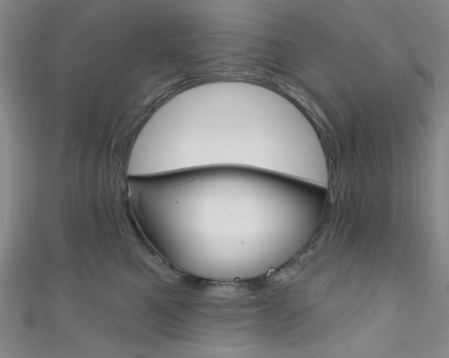 X0000111830521200907231025