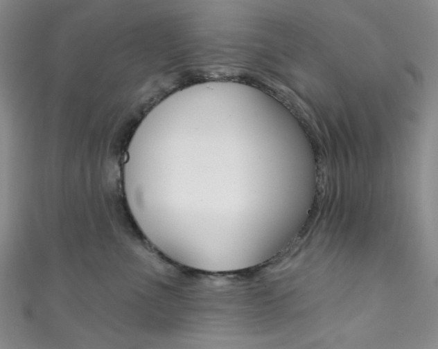 X0000111830523200907231025