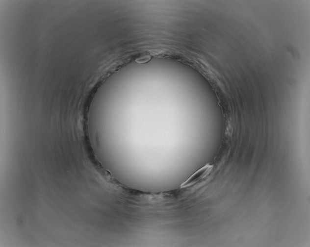 X0000111830524200907231025