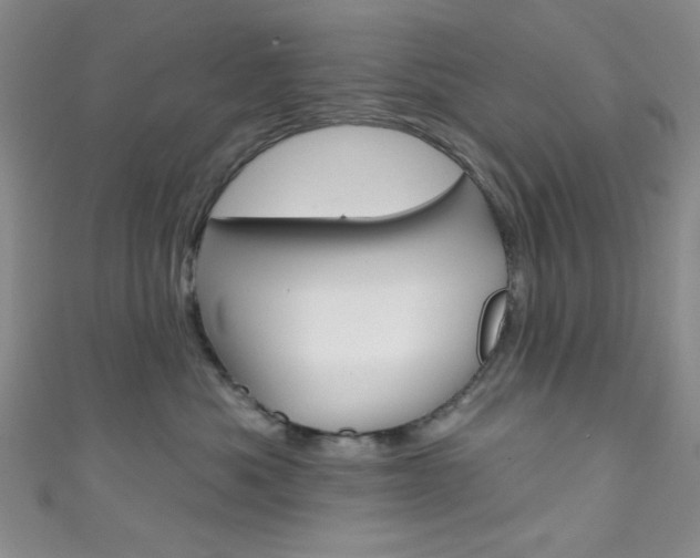 X0000111830525200907231025