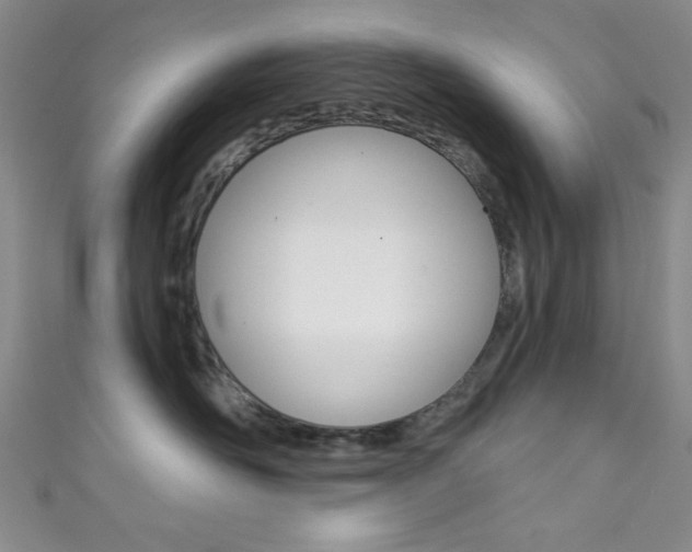 X0000111830526200907231025