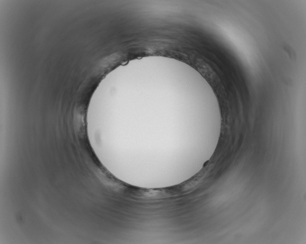 X0000111830527200907231025