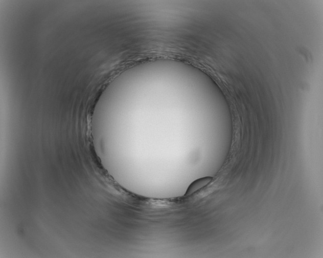 X0000111830528200907231025