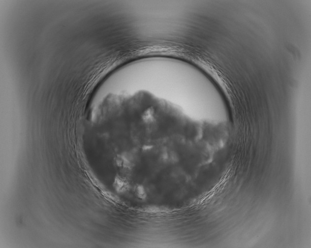 X0000111830529200907231024