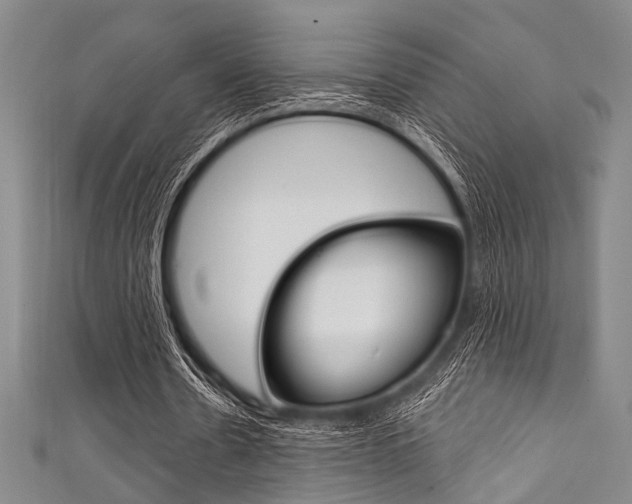 X0000111830530200907231024