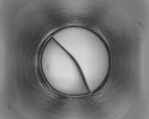 X0000111830531200907231024