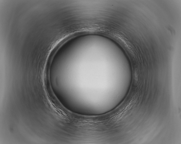 X0000111830532200907231024