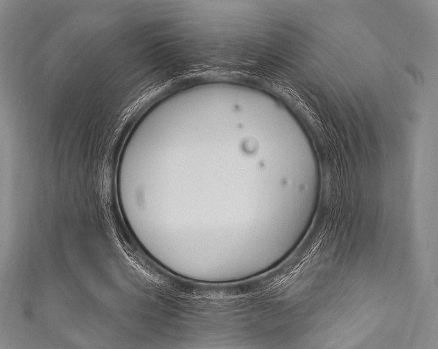 X0000111830533200907231024