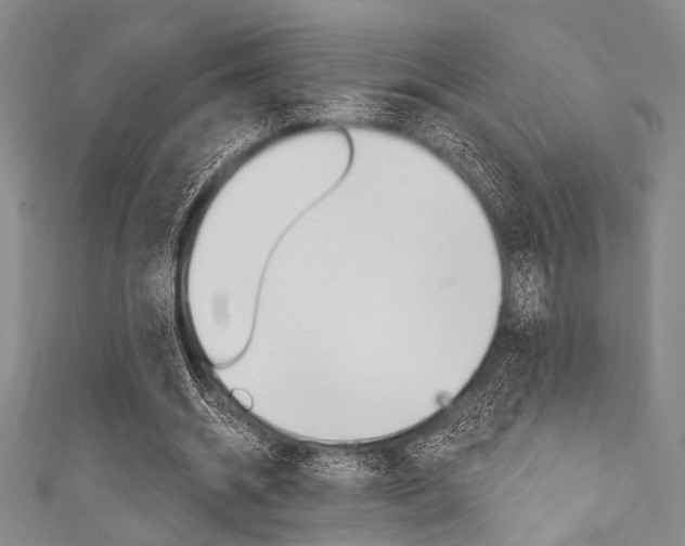 X0000111830534200907231024