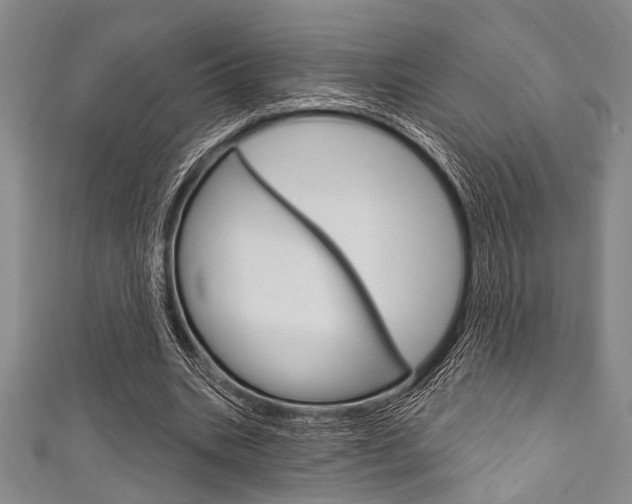 X0000111830535200907231024