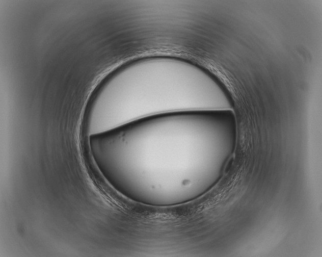 X0000111830536200907231024