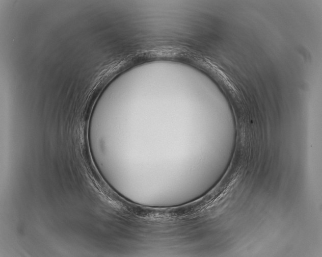 X0000111830537200907231024