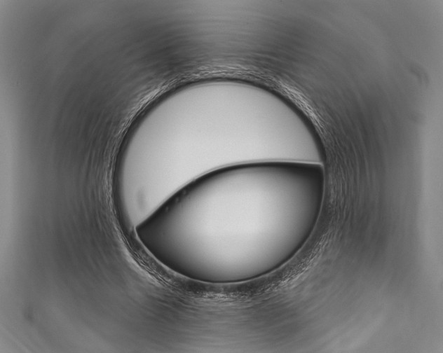 X0000111830538200907231024