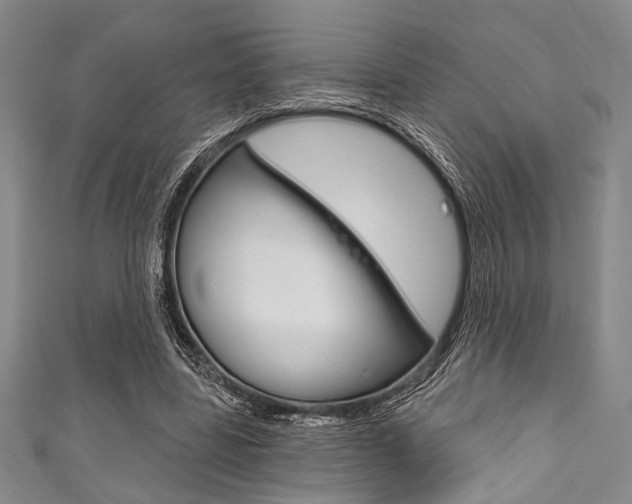 X0000111830539200907231024