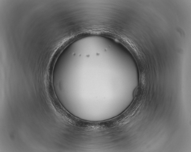 X0000111830540200907231024