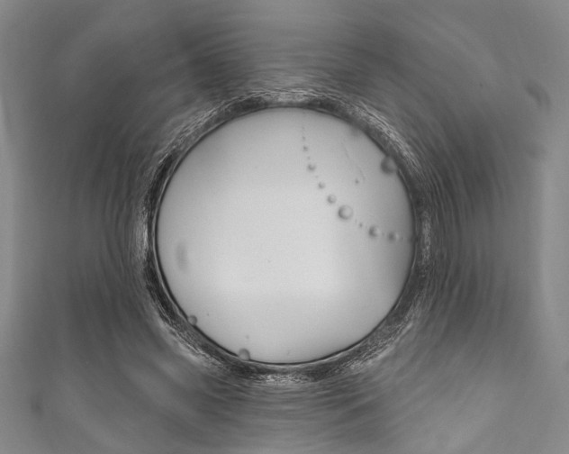 X0000111830541200907231024