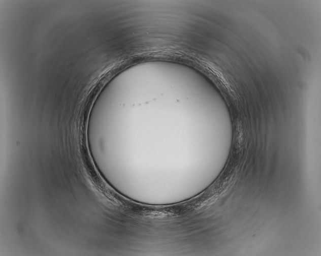 X0000111830542200907231024