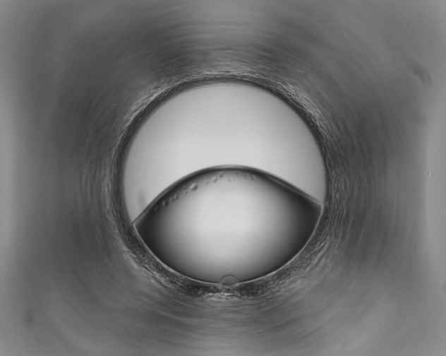 X0000111830544200907231024