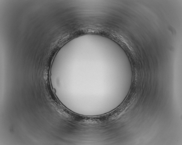 X0000111830545200907231024