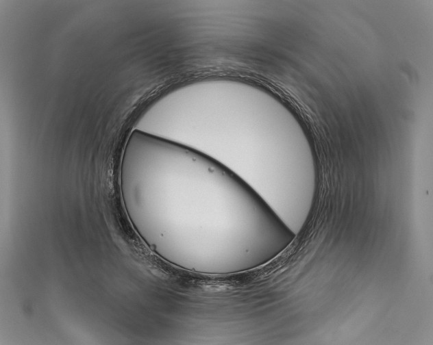 X0000111830547200907231024