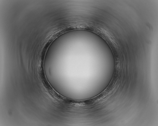 X0000111830548200907231024