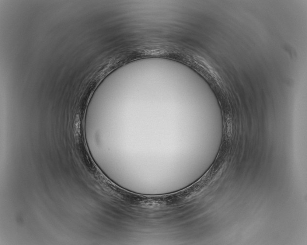 X0000111830549200907231024