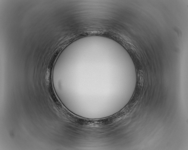 X0000111830550200907231024