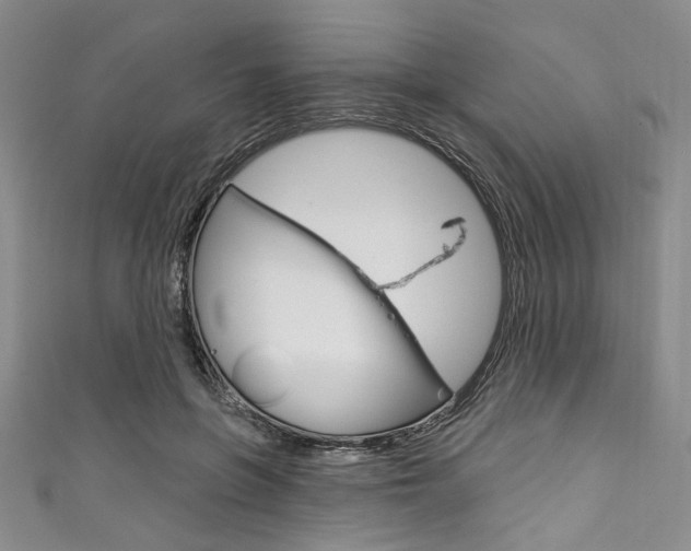 X0000111830551200907231024