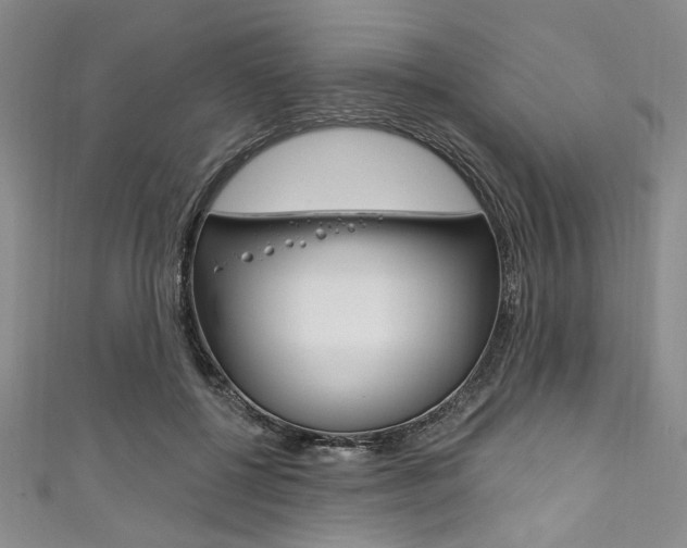 X0000111830552200907231024
