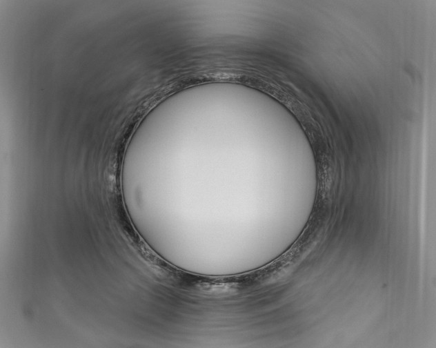 X0000111830553200907231024