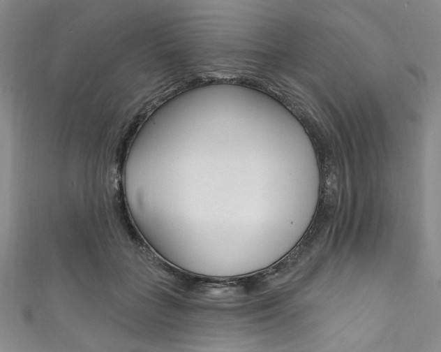 X0000111830555200907231024