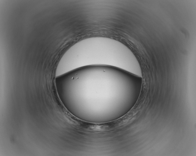 X0000111830558200907231024