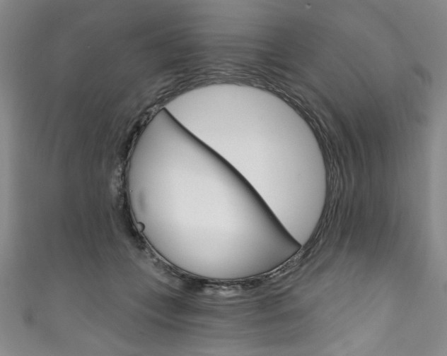X0000111830559200907231024