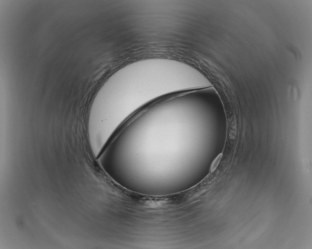 X0000111830560200907231024