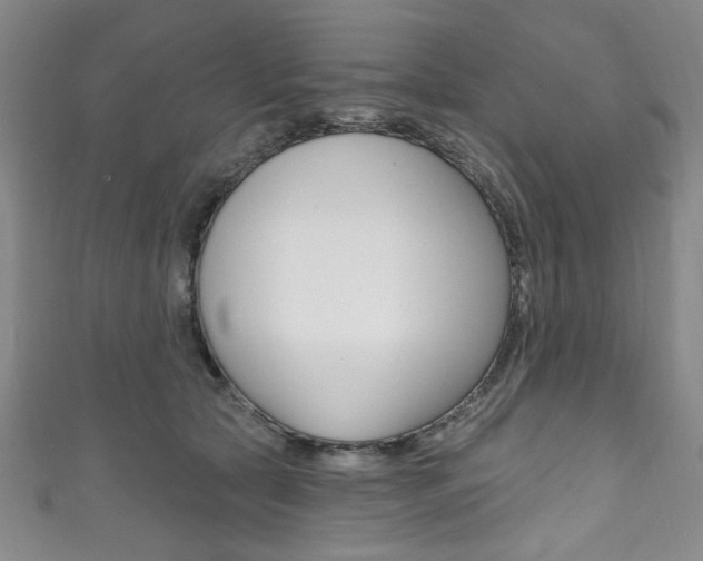 X0000111830561200907231024