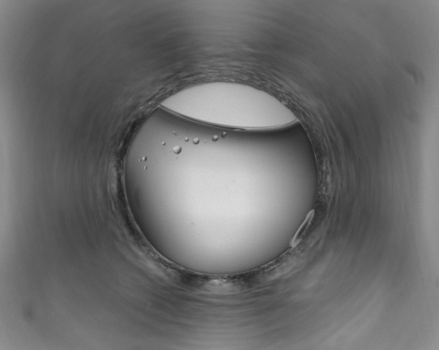 X0000111830562200907231025