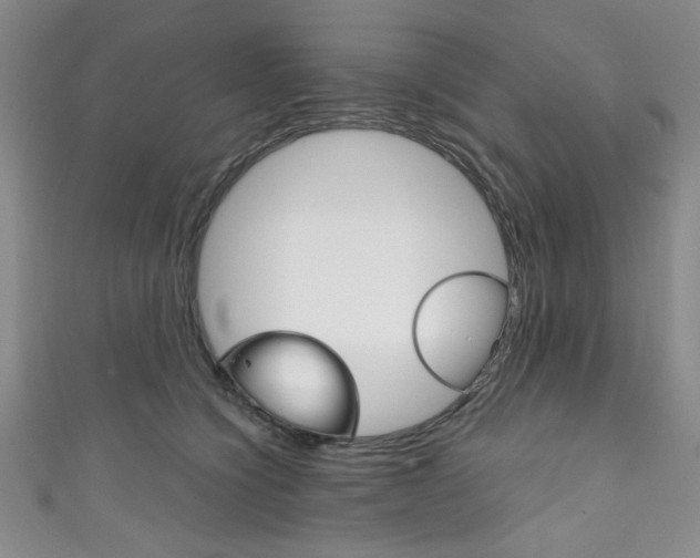 X0000111830564200907231025