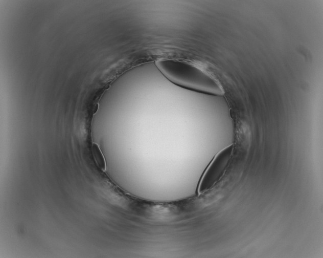 X0000111830566200907231025