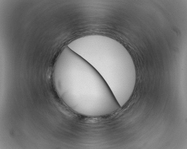 X0000111830567200907231025