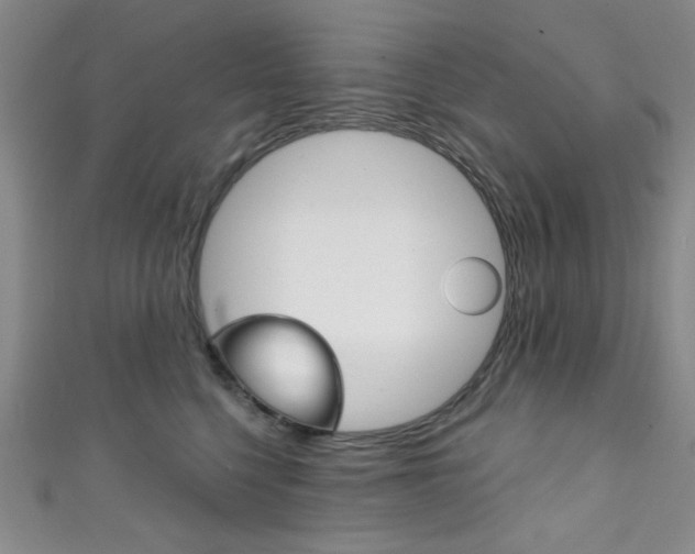 X0000111830568200907231025