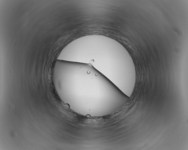 X0000111830571200907231025